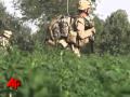 Obama Asks for New Afghan Options