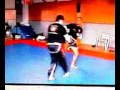 bujutsu bujutsu