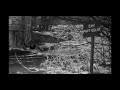 El vídeo del invierno