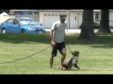 Smurf & some heeling