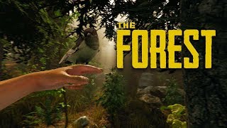 The Forest – видео трейлер