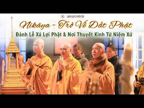 NIKAYA Trở Về Đất Phật 1 - Đảnh Lễ Xá Lợi Phật & Nơi Thuyết Kinh Tứ Niệm Xứ
