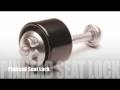 videos de pinhead.m4v