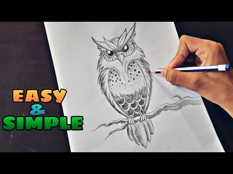 video-linktoworks-How to Draw Great Horned Owl | Easy for Beginners |...