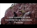 Circuito Turistico del Sur del Perú