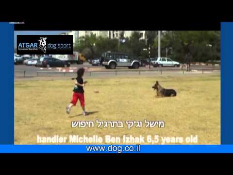 ילדה בת 6 וחצי שנים מתרגלת חיפוש חפץ , עם כלבת רועים גרמני בוגרת.