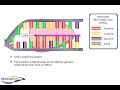 DNA/RNA Transcription