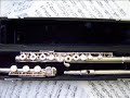 Mozart Flute and Harp Concerto mvt 2