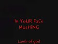 Mosh pit 066