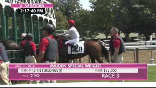 MATT SCHERA'S BERKS COUNTY IMPRESSES!!