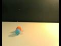 videos de Ball Rage