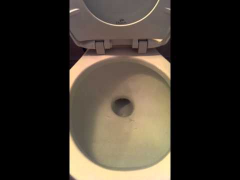 how to quickly unclog a toilet without a plunger