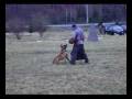 videos de Ax obrana 30.11.08.wmv