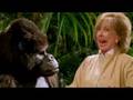  - MovieZen Video