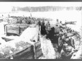 Trailer: The Battle of Tannenberg