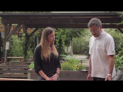 Hochbeet richtig befüllen