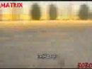 BOBO - crazy Arabian drifter
