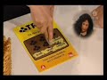 Lena skrapar triss Lena skrapar triss