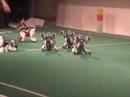 UPB en los ROBOGAMES 2005