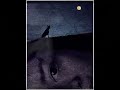 Νανούρισμα - Λοίζος 3