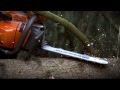 Husqvarna 560XP Chainsaw