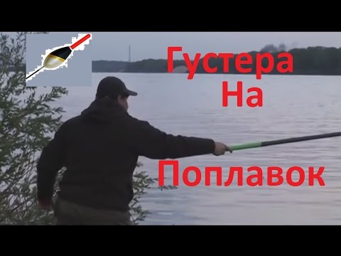 YouTube Трейлер