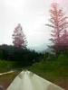 Downhill2