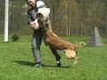 Cedrik Astape - protection
