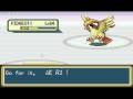 videos de What happens when you cheat