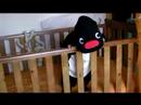 taiki_080228