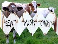 DJ Farm - The Cow Song (Techno Remix)