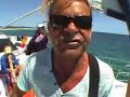Dolphins in Hervey Bay and Taiji Japan