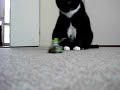 R/C Mario Kart Yoshi