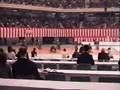 Muso Jikiden Eishin Ryu iaijutsu at the Nippon Budokan