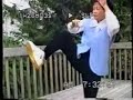 太极拳