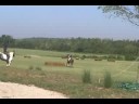 chatt-hills-xc-schooling.html