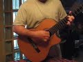 skyline pigeon 5 string acoustic guitar