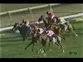 競馬の神動画 競馬必勝法↓http://utun.jp/gZG/