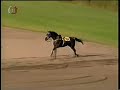 Velka Pardubicka - Grand steeplechase in Pardubice , 2006