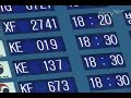 video ringtones