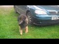Click here to watch this video Mattie!!