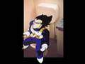 DBZ in a Nutshell 2 (Channel Cat)