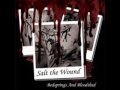 Salt The Wound - An 