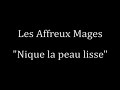 \"nique la peau lisse\"- Les Affreux Mages