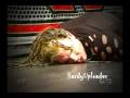 Jeff Hardy - Rebirth