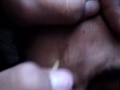 autopsia plumal de ioni