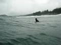 Mofo in the surf