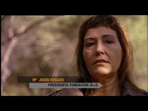 Imagen de previsualización de YouTube