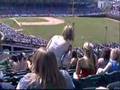 Our Day at Wrigley