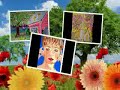 Acrylic ACEO Paintings Acrylic ACEO Paintings